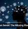 Common Sense: The Missing Piece in AI